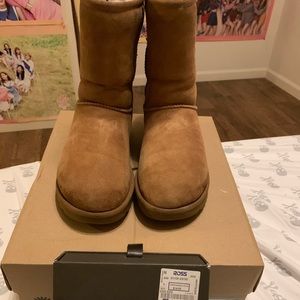 Classic chestnut uggs